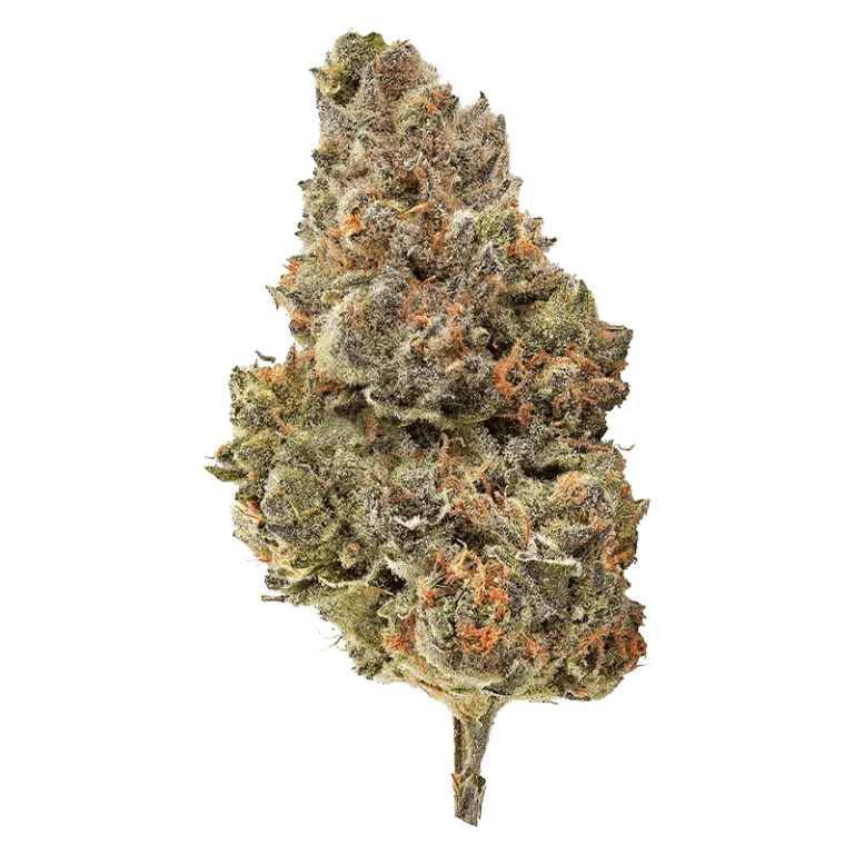 Holistic Sativa 1