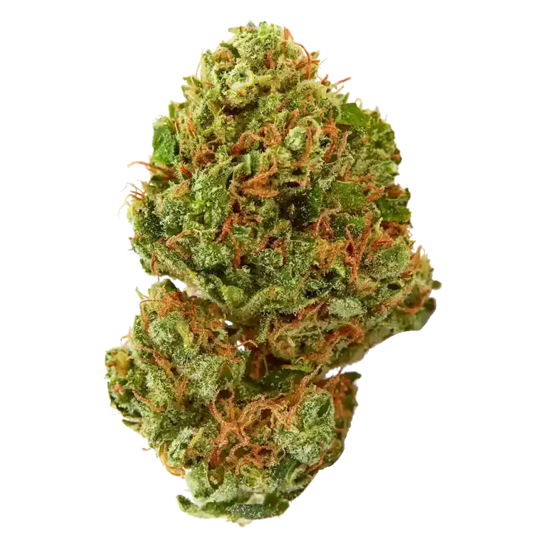 Holistic Sativa 1