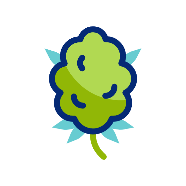 bud 19008002