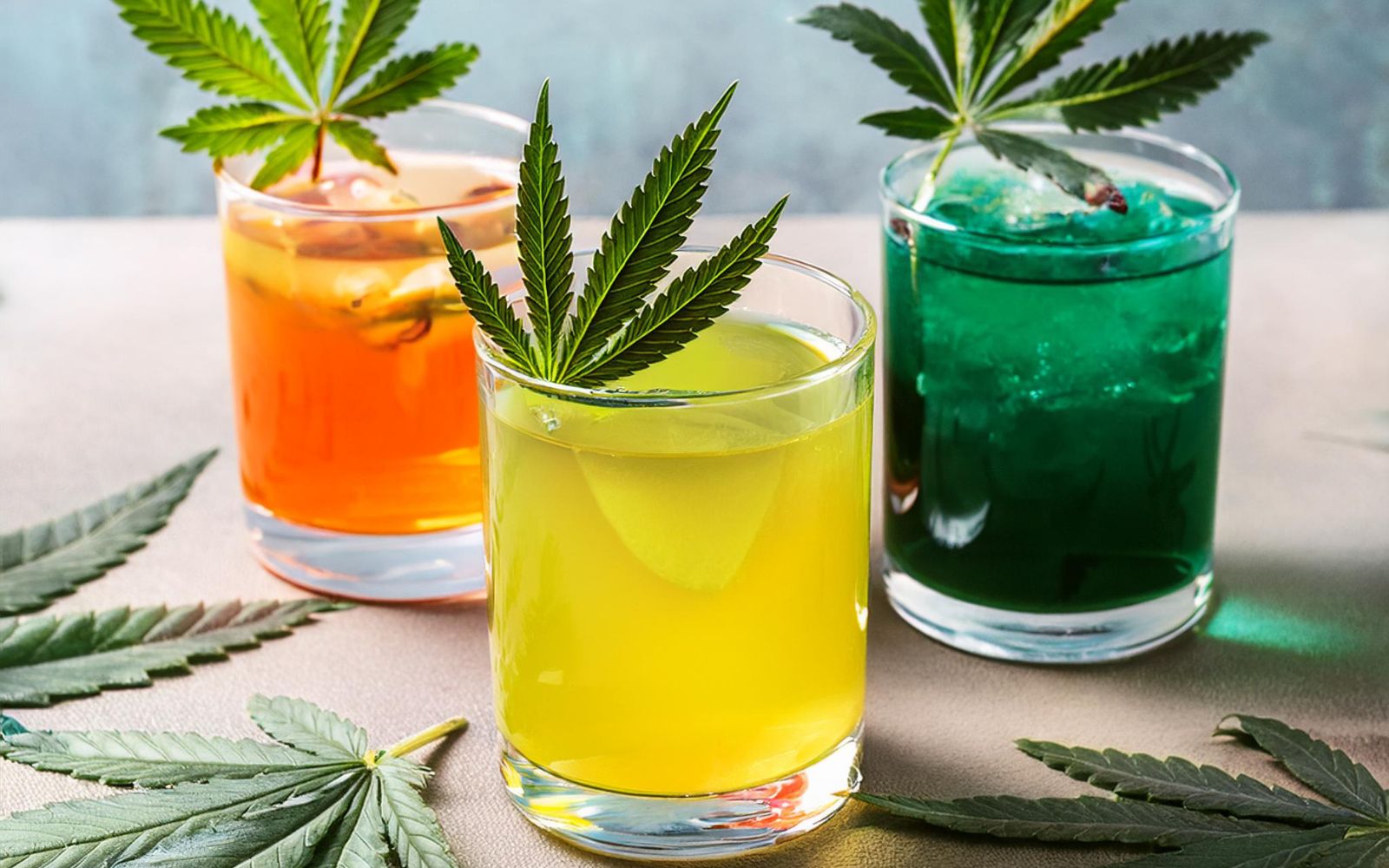 The Rise of Cannabis