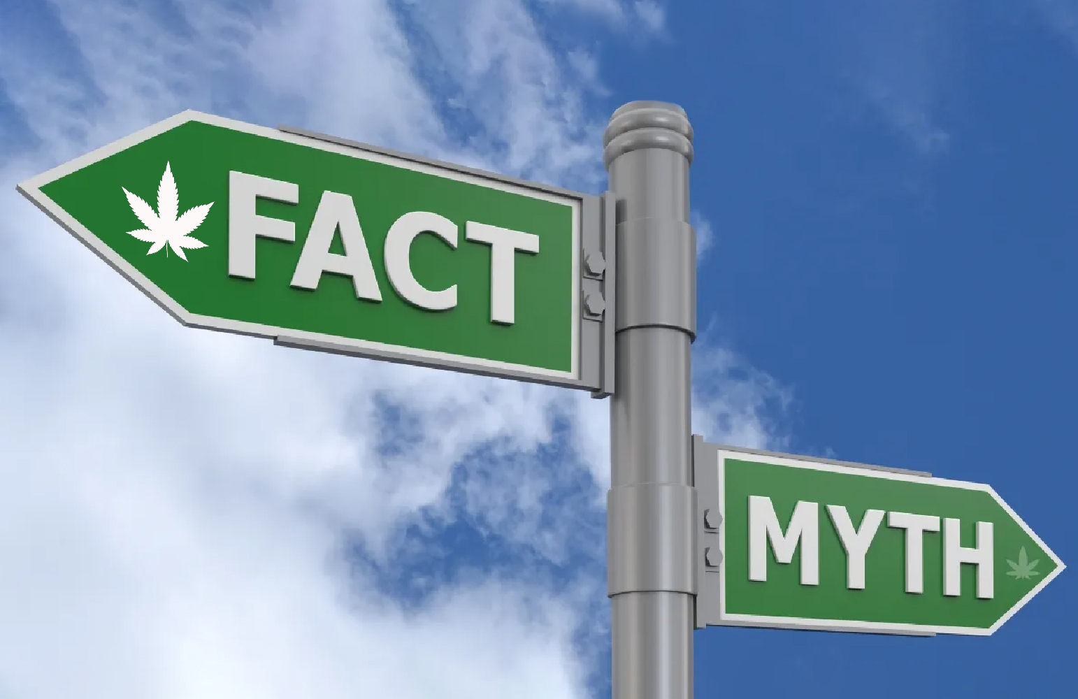 Cannabis Myths vs Facts