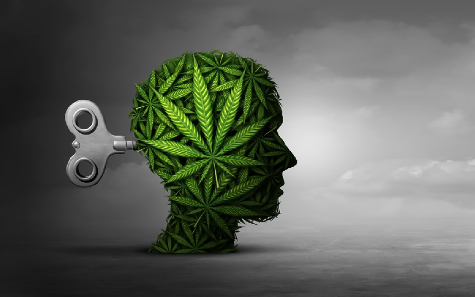 The Effects of Cannabis Explained for Beginners